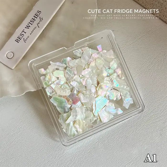 {MX} 1 boîte de flocons de coquille d'aurore, breloques d'ormeau pour Nail Art, tranche fine et irré