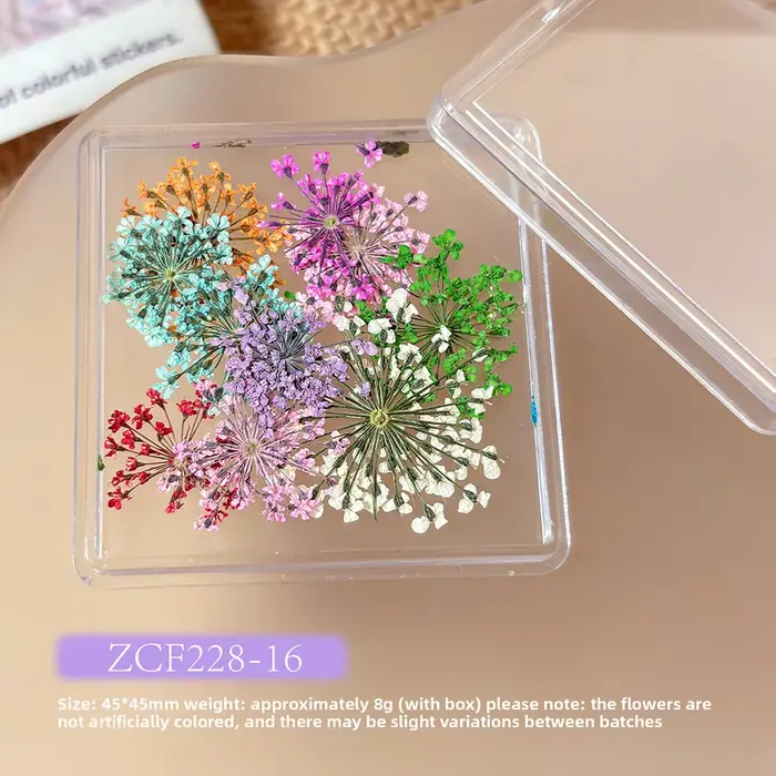 1 boîte de fleurs séchées 3D de style japonais pour la décoration des ongles - Fleurs séchées de gyp