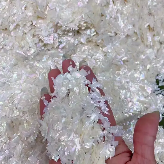 Breloques à ongles en coquillage d'ormeau naturel