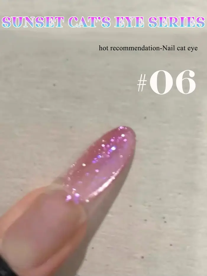 1-24 pièces WS Style japonais verre noir chat Gel magnétique vernis à ongles Nail Art manucure Varnis Gel Semi Permanent