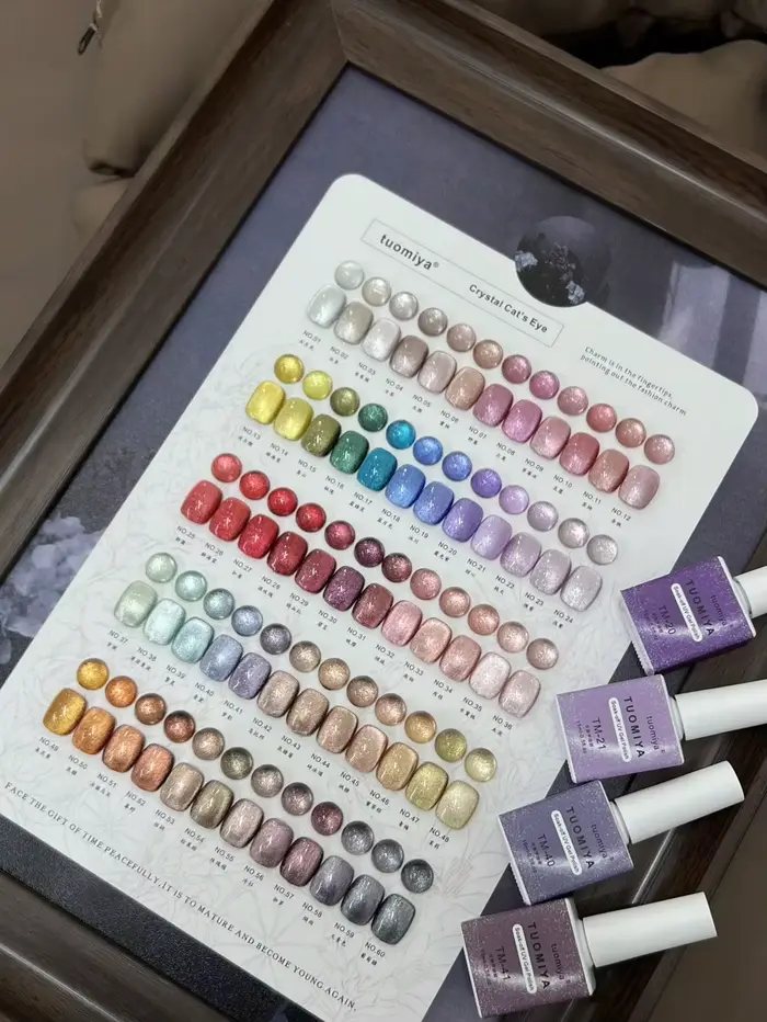 Ensemble de vernis à ongles œil de chat en velours de 60 couleurs avec nuancier