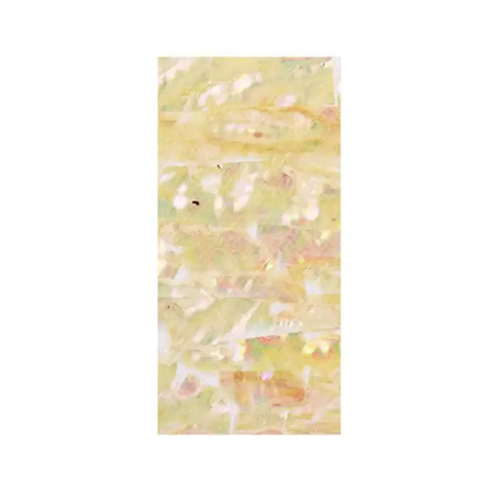 1Pc coquille d'ormeau tranche manucure ongles feuilles bricolage ongles décalcomanies dégradé sirène