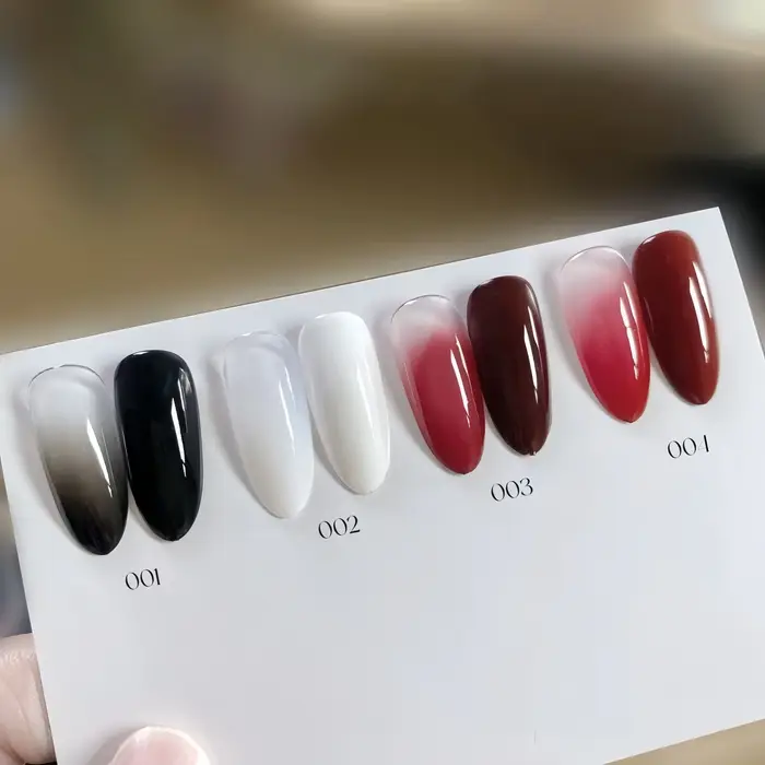 Gel de peinture pour ongles 4 couleurs (noir