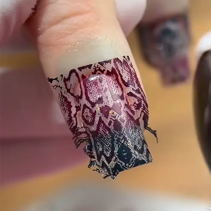 Image animale serpent léopard ongles estampage tigre zèbre