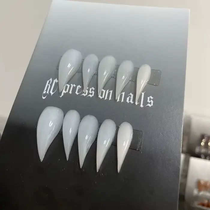 10 pièces fini Nail Art fait à la main Dragon armure aigle et chat griffe bête armure faux ongles co