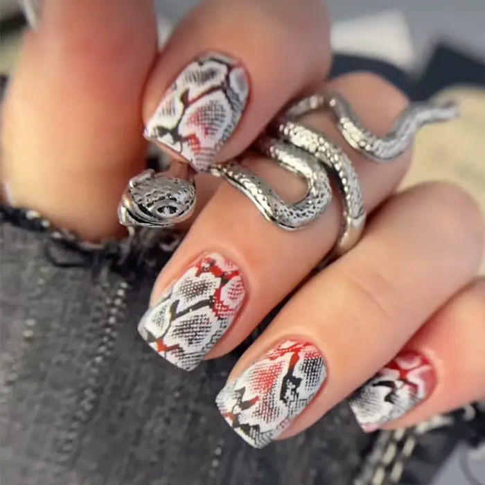 Image animale serpent léopard ongles estampage tigre zèbre