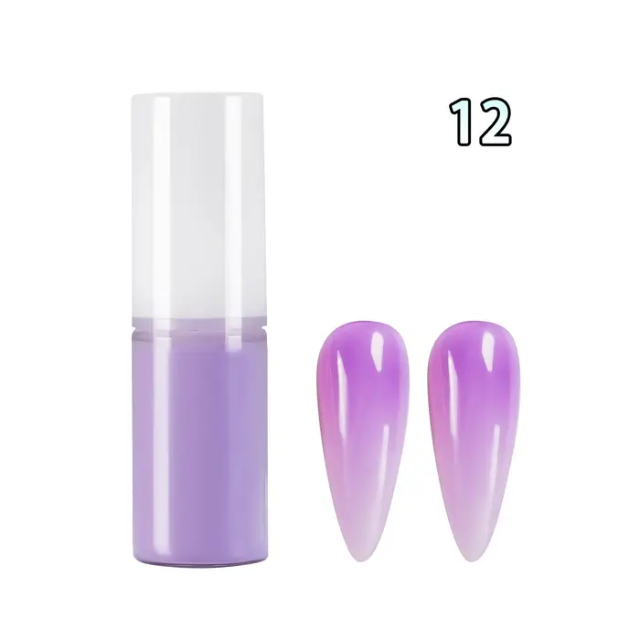 Poudre de pulvérisation ombrée pour Nail Art