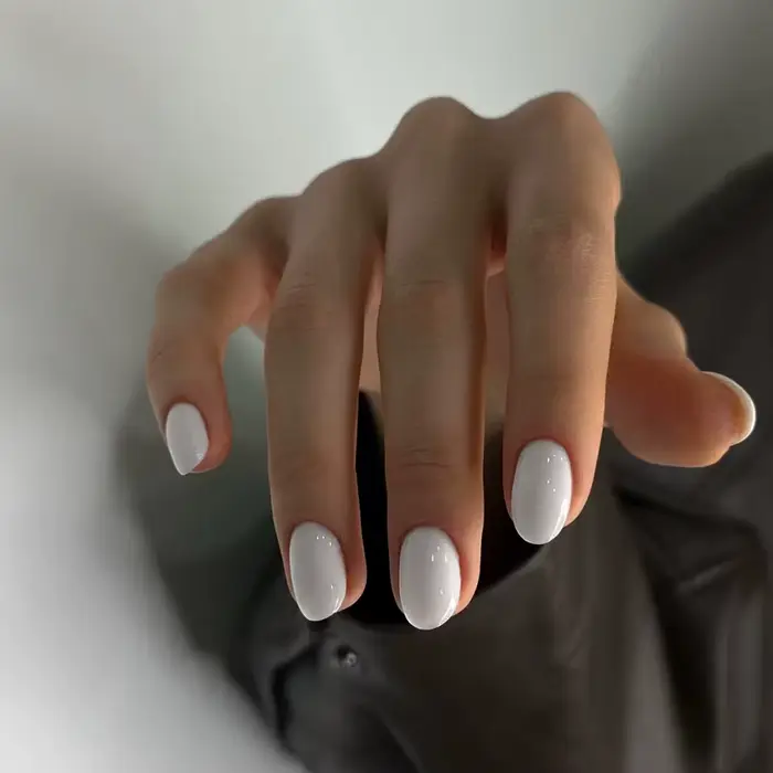 Ongles d'élipse courts 144 pièces