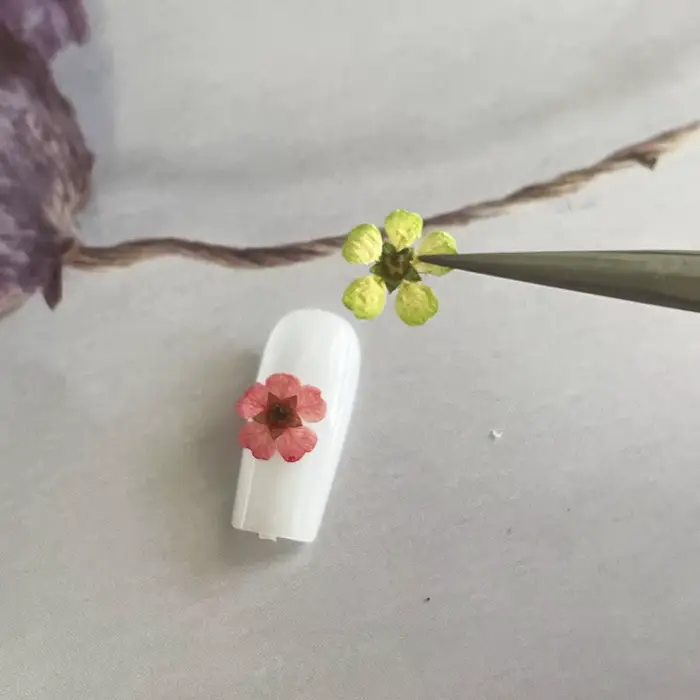 Arbre de corail-fleurs sèches ornement d'ongle 12 parties accessoire de fleur de corail néon fait à la main Mini