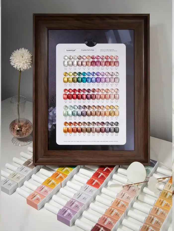 Ensemble de vernis à ongles œil de chat en velours de 60 couleurs avec nuancier