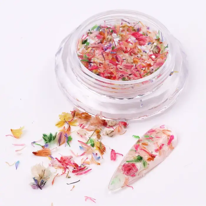 Décoration de fleurs séchées pour Nail Art