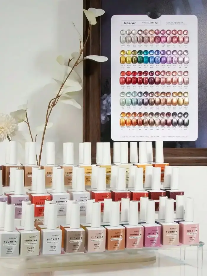 Ensemble de vernis à ongles œil de chat en velours de 60 couleurs avec nuancier