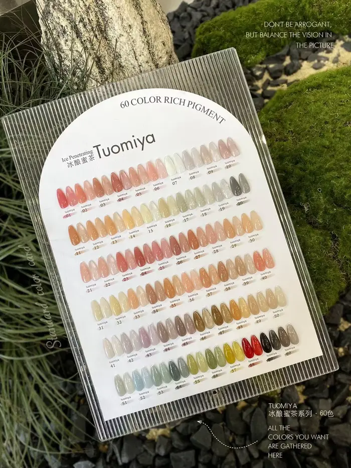 Ensemble de vernis à ongles œil de chat en velours de 60 couleurs avec nuancier, vernis à ongles sem
