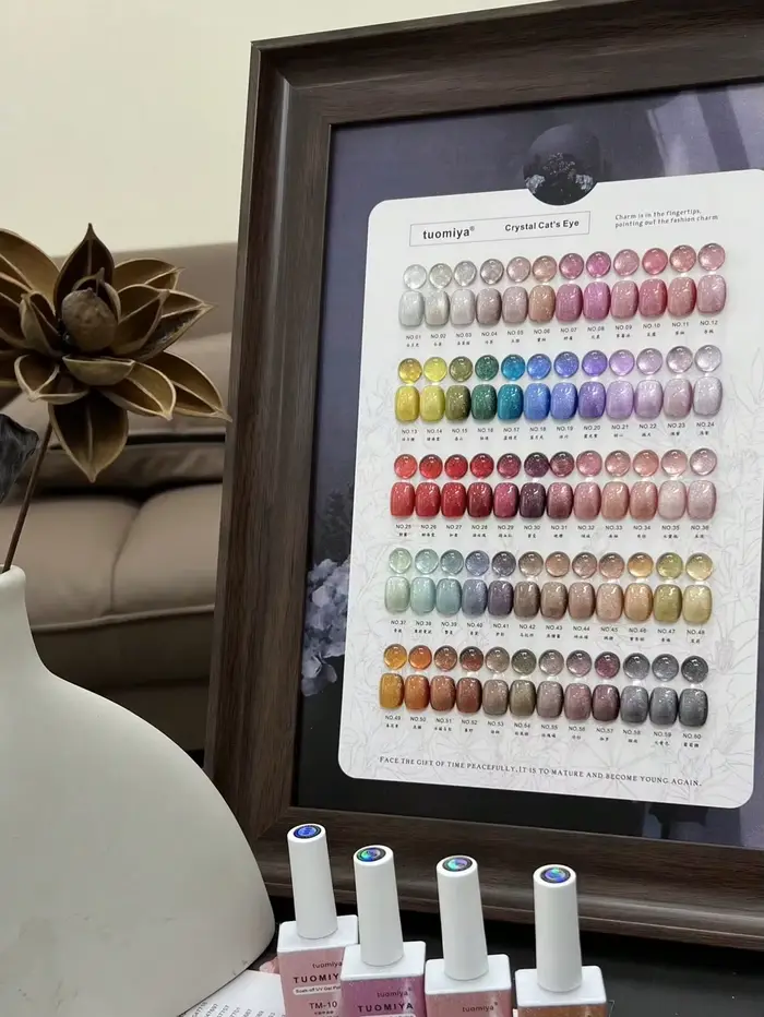 Ensemble de vernis à ongles œil de chat en velours de 60 couleurs avec nuancier