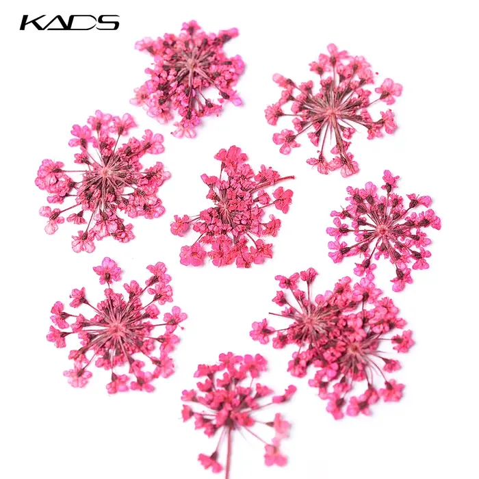 Fleurs séchées en 3D pour décoration des ongles