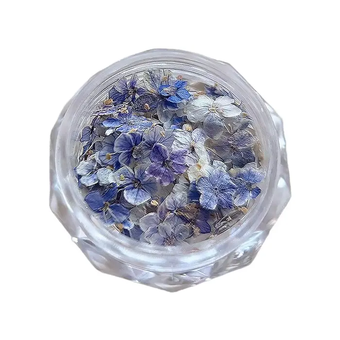 Décoration d'ongles en fleurs séchées