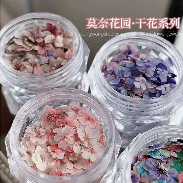 1 boîte de mini fleurs séchées véritables pour la décoration d'ongles