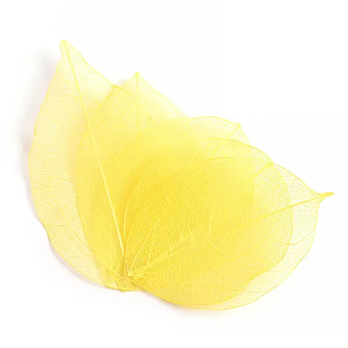 Fleurs séchées en 3D pour décoration des ongles, scalpe floral naturel, mélange de fleurs sèches, br