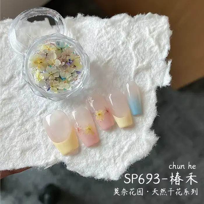 1 boîte de mini fleurs séchées véritables pour la décoration d'ongles, fleurs pressées colorées 3D,