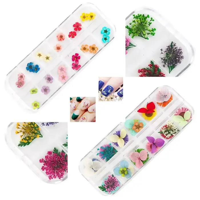 12 couleurs fleurs séchées Nail Art décoration 3D naturel Floral coloré fleurs séchées breloques ong