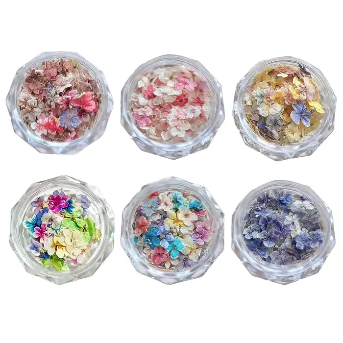 Matériaux de fleurs séchées pour ongles