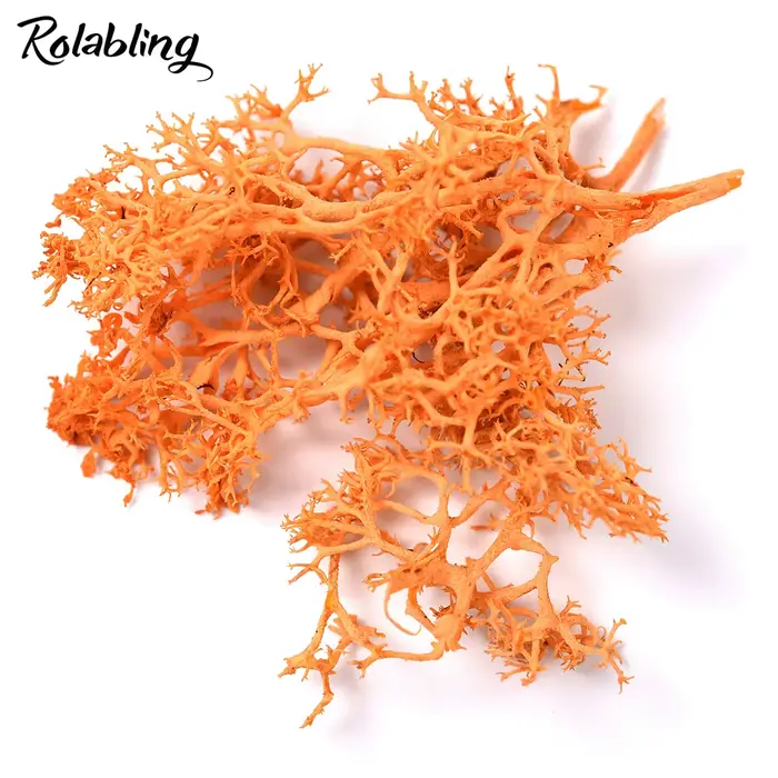 Rolabling-Autocollants 3D colorés pour Nail Art