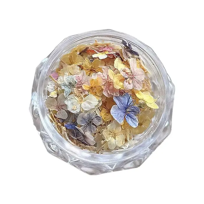 Décoration d'ongles en fleurs séchées, style jardin de Monet, fleurs séchées réelles pour ongles, ma