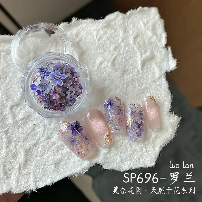 1 boîte de mini fleurs séchées véritables pour la décoration d'ongles