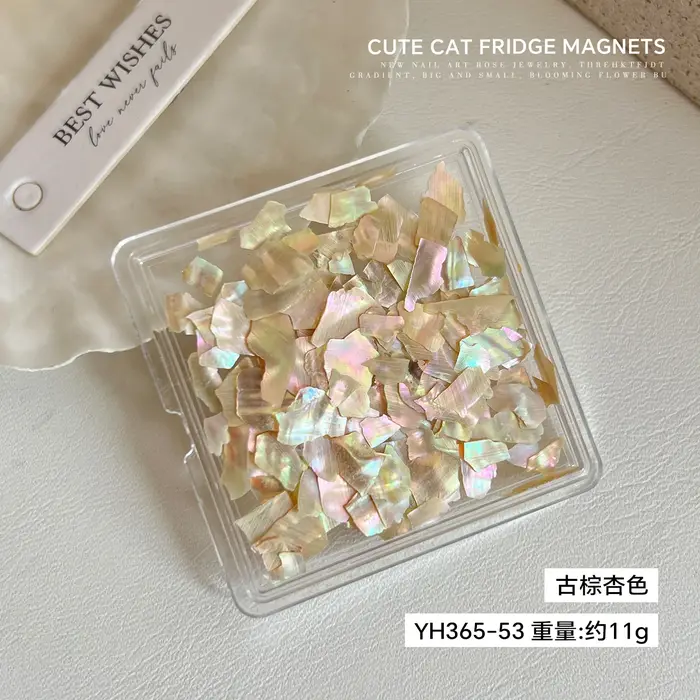 Décorations d'ongles irrégulières en sequins coquillage