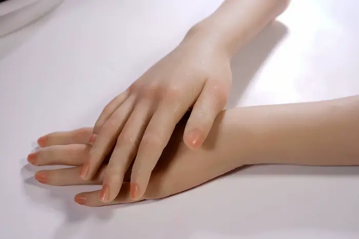 Modèle de main réaliste en Silicone