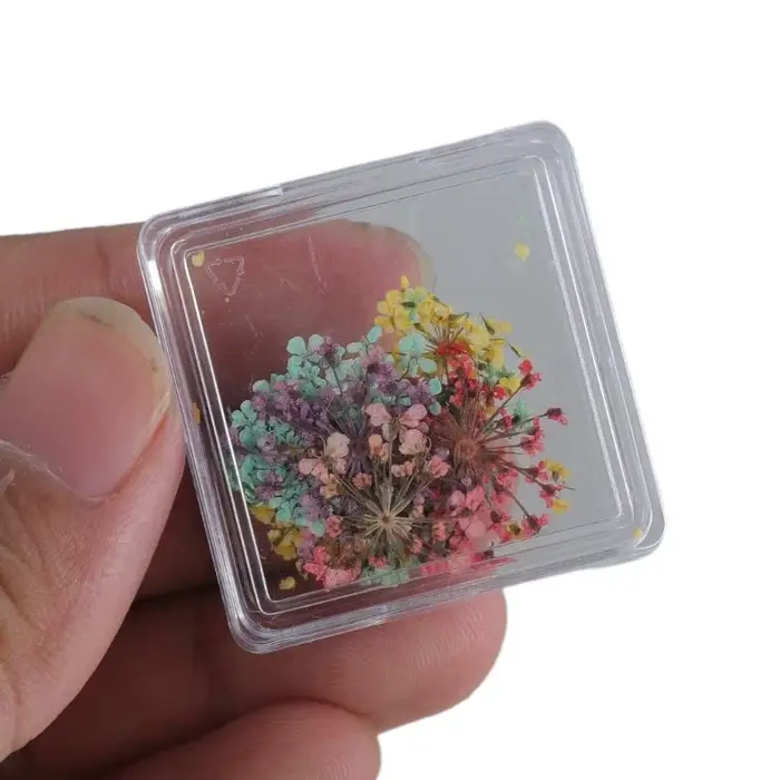 Nails fleurs séchées Charms japonais charmes