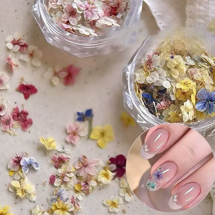 Matériaux de fleurs séchées pour ongles
